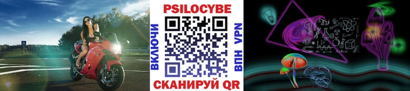 Псилоцибиновые грибы Psilocybe  Купить где  Харабали 